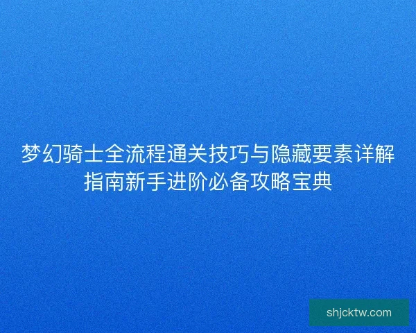 梦幻骑士全流程通关技巧与隐藏要素详解指南新手进阶必备攻略宝典
