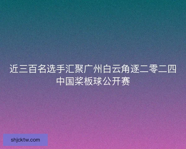 近三百名选手汇聚广州白云角逐二零二四中国桨板球公开赛