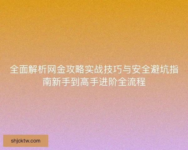 全面解析网金攻略实战技巧与安全避坑指南新手到高手进阶全流程